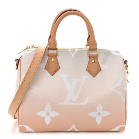 Superfake Louis Vuitton By the Pool Speedy Bandouliere 25 Bag
