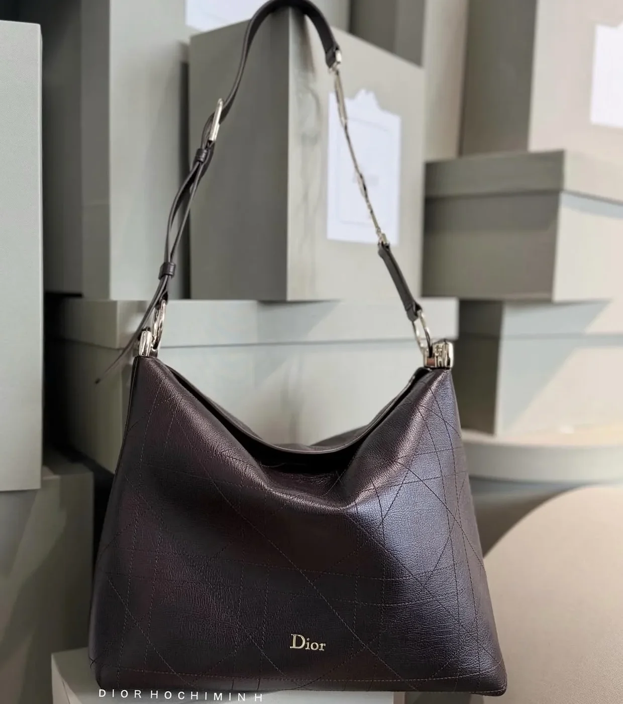 Diorly Bag in Brown product view 4