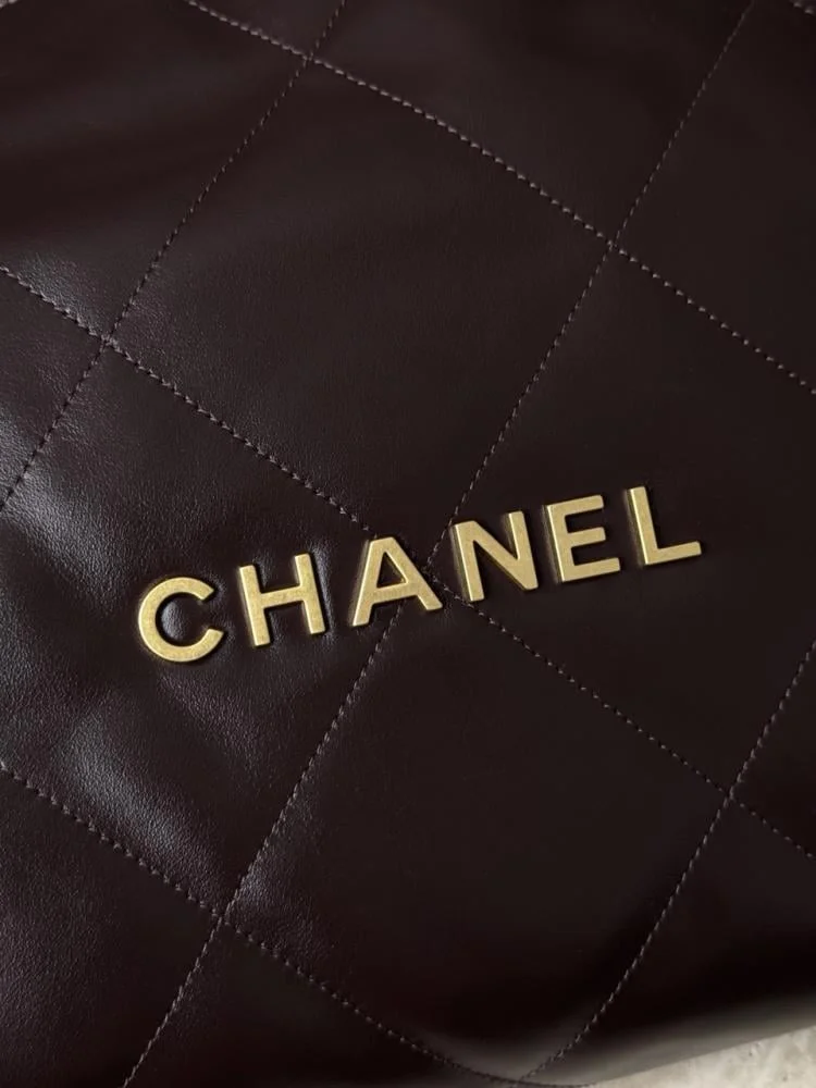 Chanel 22 handbag in Burgundy product view 5