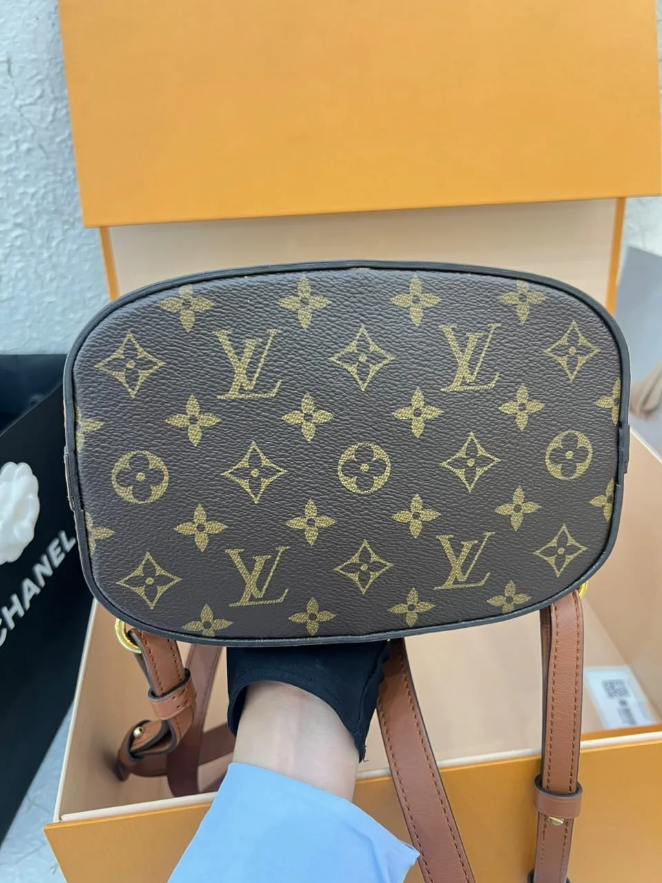 Louis Vuitton Dauphine Monogram Reverse PM backpack product view 4