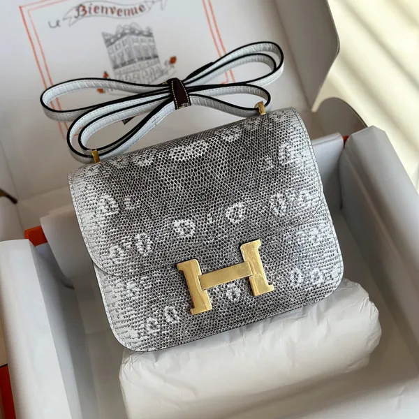 Hermès Constance 19 Omber Lizard Leather Palladium Hardware Bag product view 1