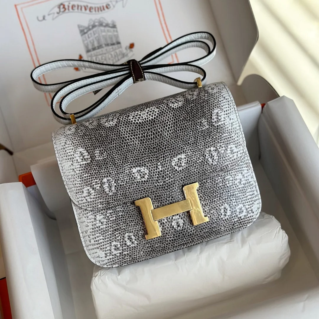 Hermès Constance 19 Omber Lizard Leather Palladium Hardware Bag product view 1