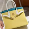 Hermès Lime, Bleu de Galice and Gris Perle Chèvre Tri-Color Hss Birkin 25 Brushed Gold Hardware Bag product view 7
