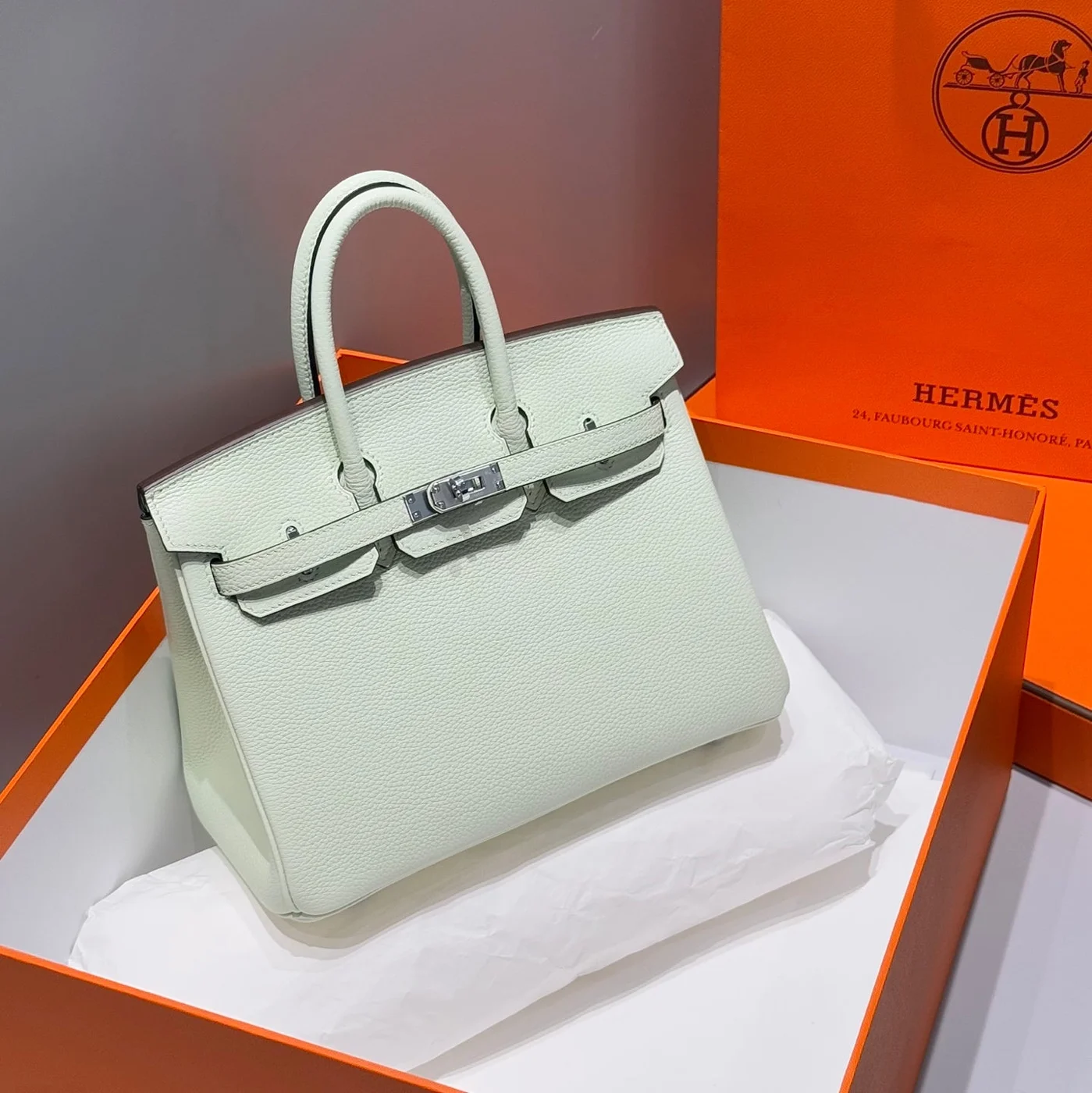 Hermès Birkin 25 In Light Mint Green Silver Hardware Bag product view 1