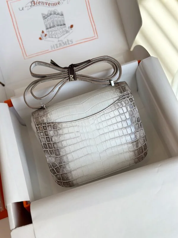 Hermès Constance 19 Himalaya Crocodile Leather Palladium Hardware Bag product view 5