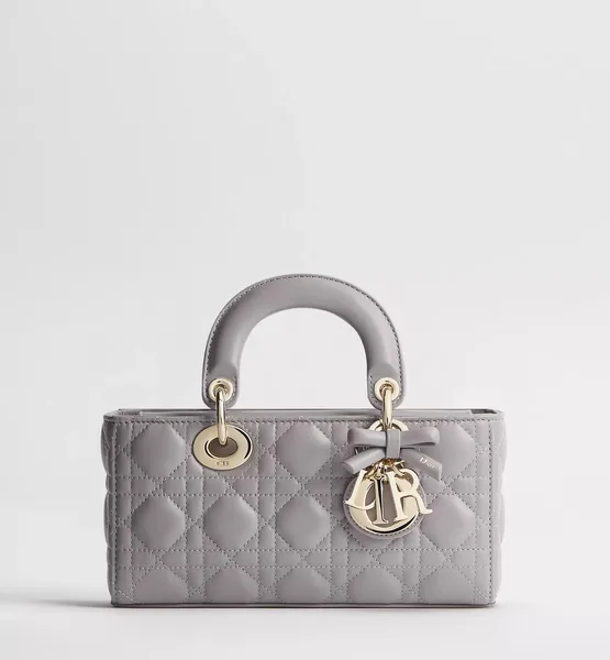 Dior D-Joy Small Grey Bag product view 1