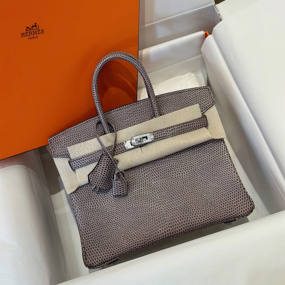 Hermès Birkin 25 Tris Fonce Lizard Leather Palladium Hardware Bag product view 1