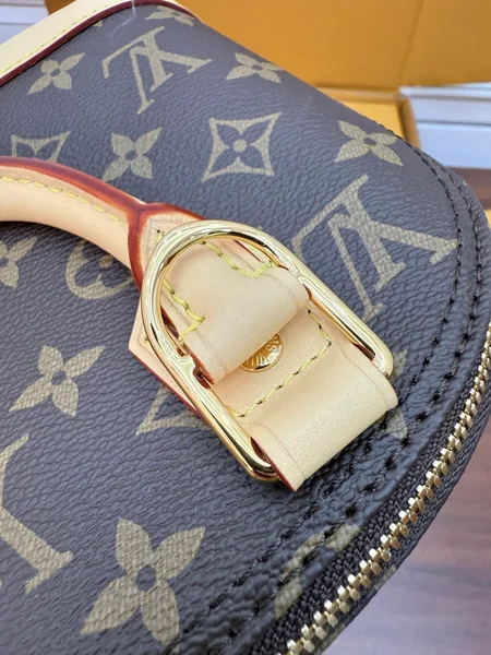 Louis Vuitton Alma BB bag in Monogram product view 6