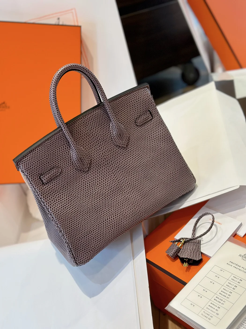 Hermès Birkin 25 Tris Fonce Lizard Leather Gold Hardware Bag product view 4