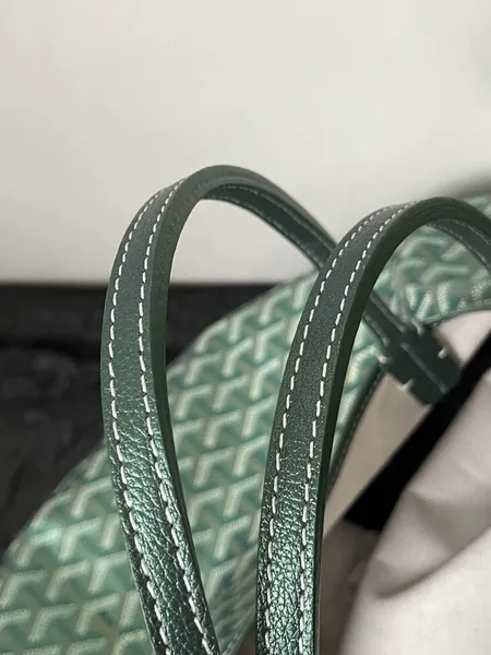 Goyard Saint Louis PM Bag 2024 Limited Edition product view 10