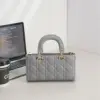 Dior J-joy Medium Grey Bag product view 5