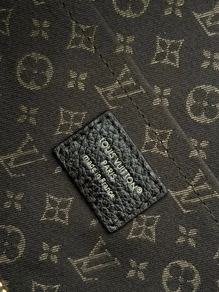 Louis Vuitton Express Bag product view 4