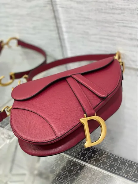 Dior Saddle Bag Red Gold Hardware product view 6