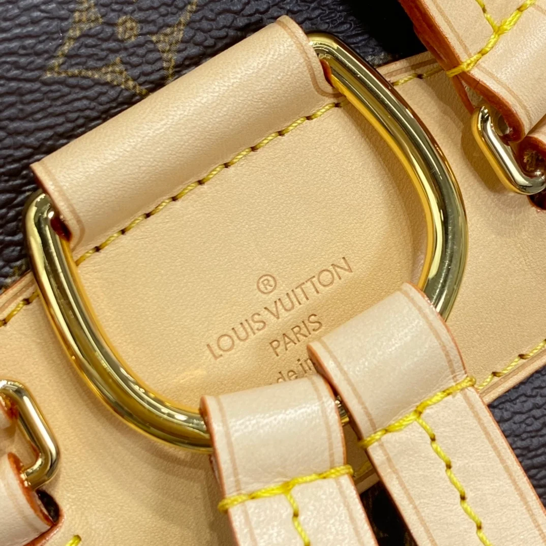 Louis Vuitton Montsouris PM backpack product view 9