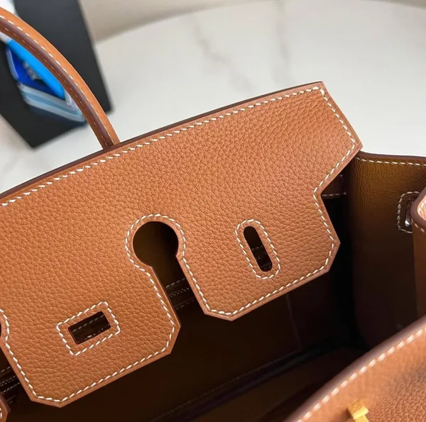 Hermès Birkin 25 Gold Color with Gold Hardware Bag product view 7