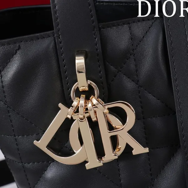 Dior Small  Toujours Vertical Tote Bag product view 8