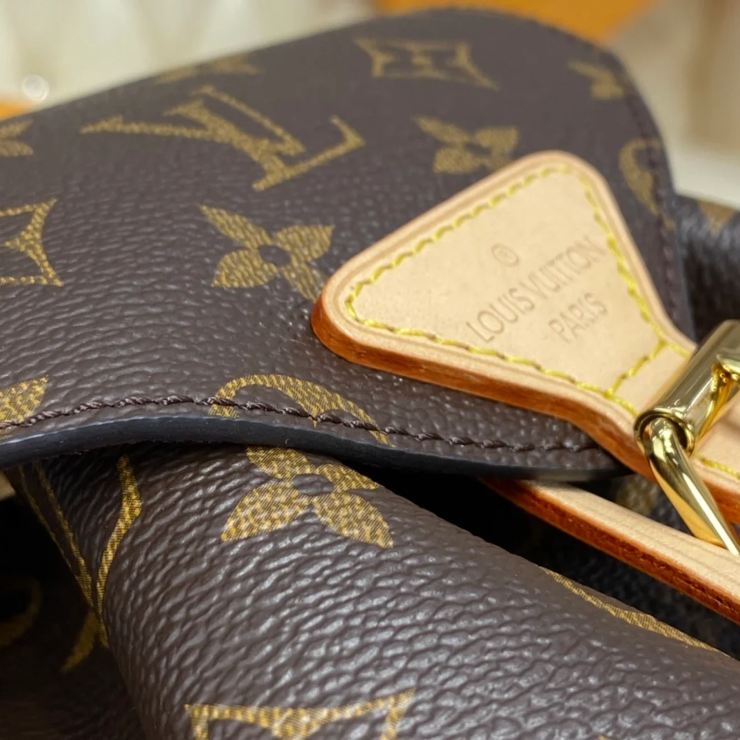Louis Vuitton Montsouris PM backpack product view 8