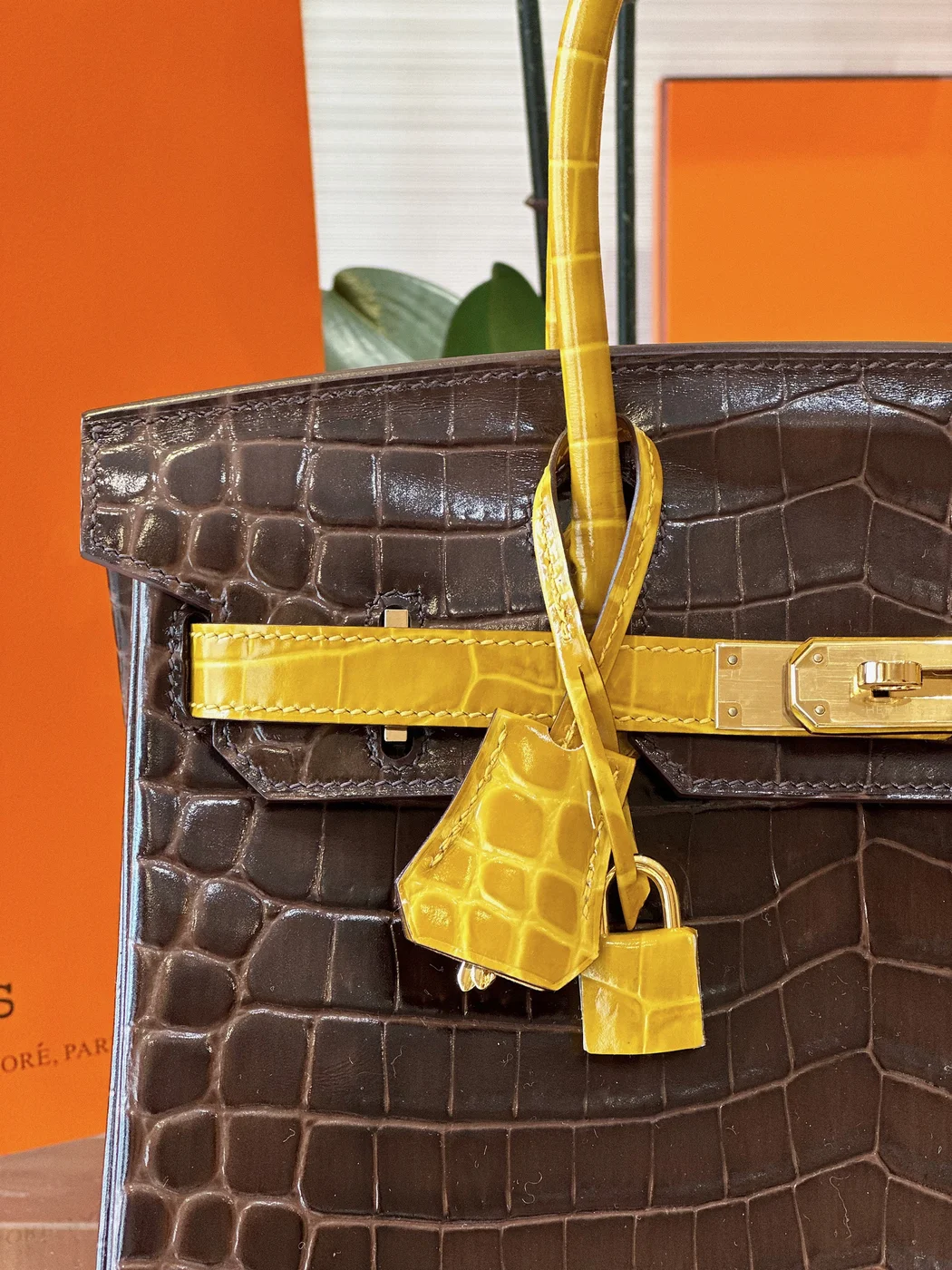 Hermès Birkin 30 Brown/Gold Crocodile Leather Gold Hardware – Custom Made Bag product view 3