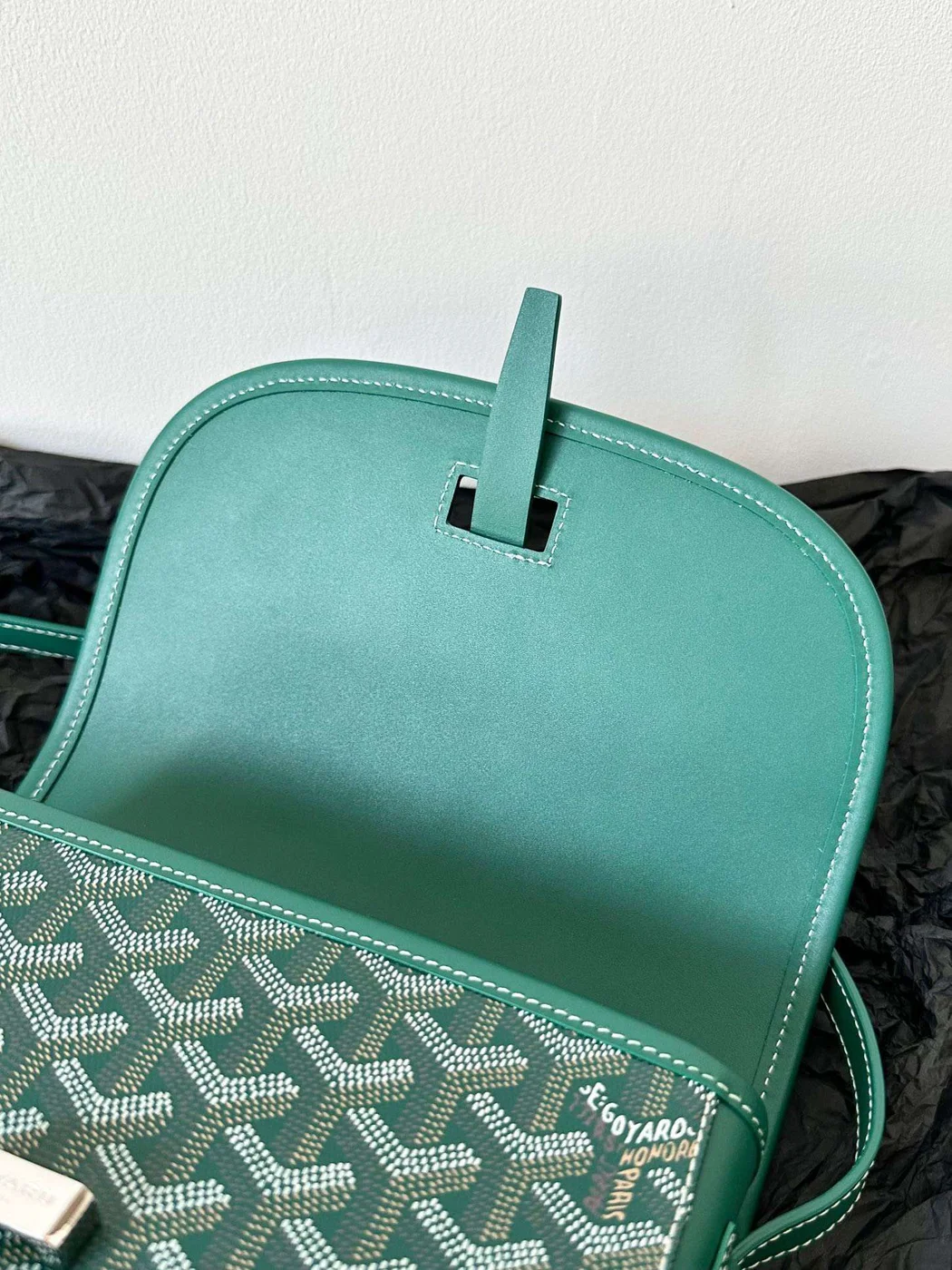 Goyard Green Handbag With Pattern 22x16x7cm product view 2