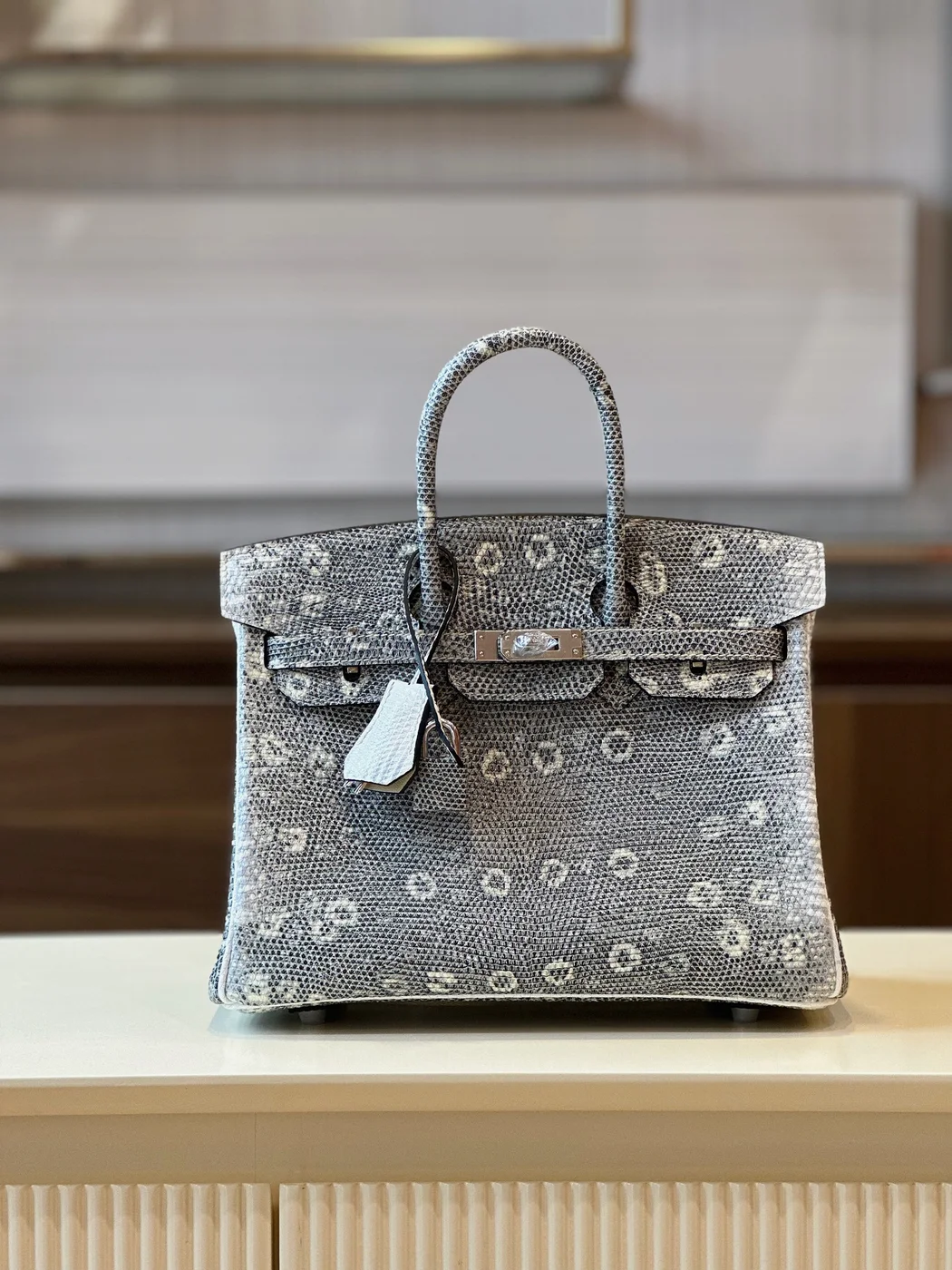 Hermès Brikin 25 Omber Lizard leather Gold Hardware Bag product view 7