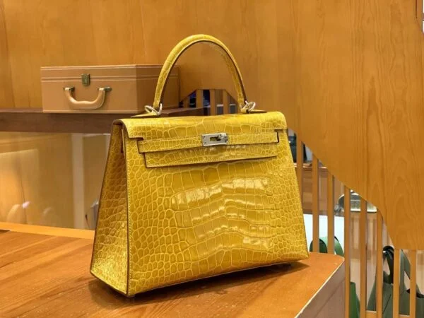 Hermès Kelly bag 25 Sellier Jaune ambre Alligator Crocodile skin Gold hardware product view 7