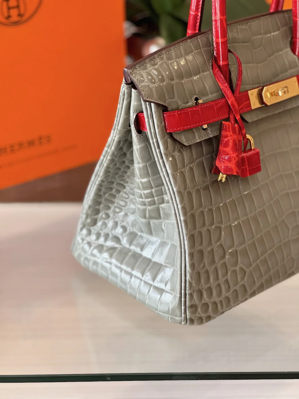 Hermès Birkin Crocodile Leather Gray and Red Custom Made Bag product view 4