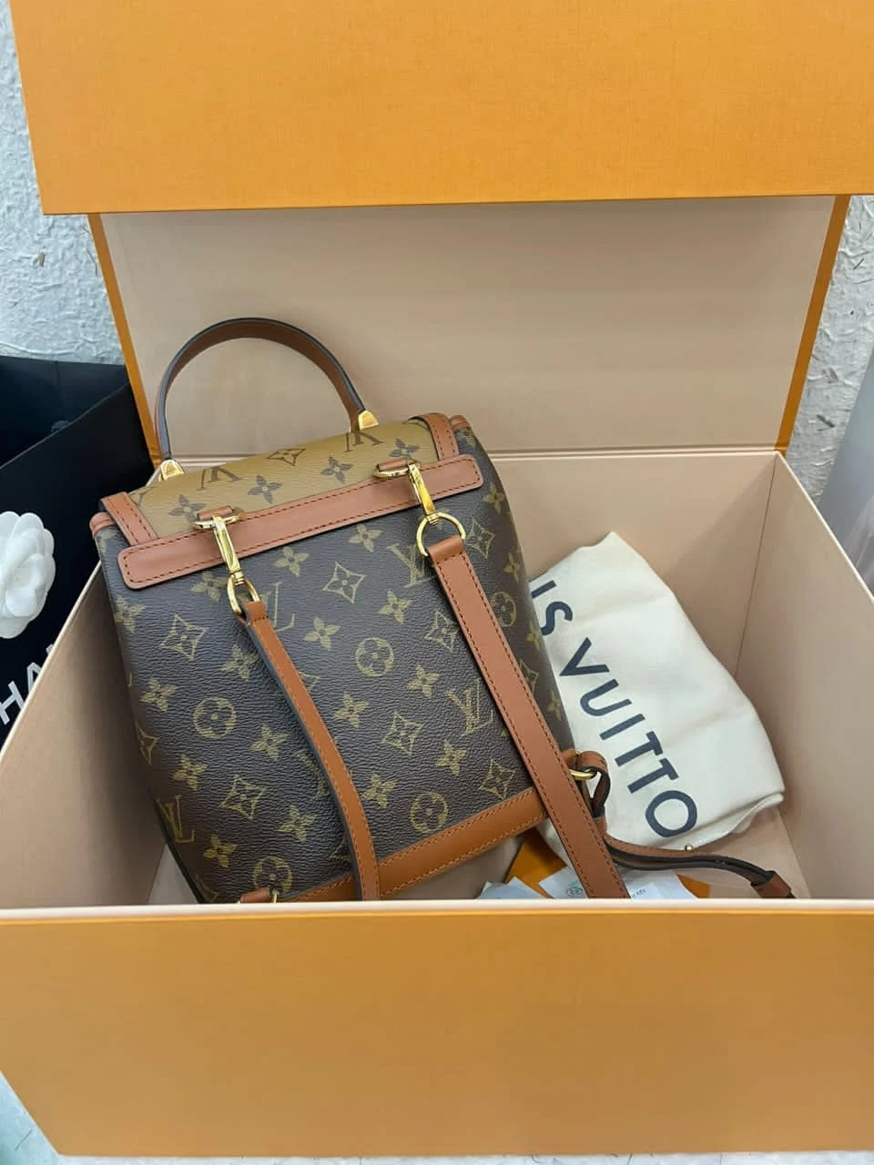 Louis Vuitton Dauphine Monogram Reverse PM backpack product view 2