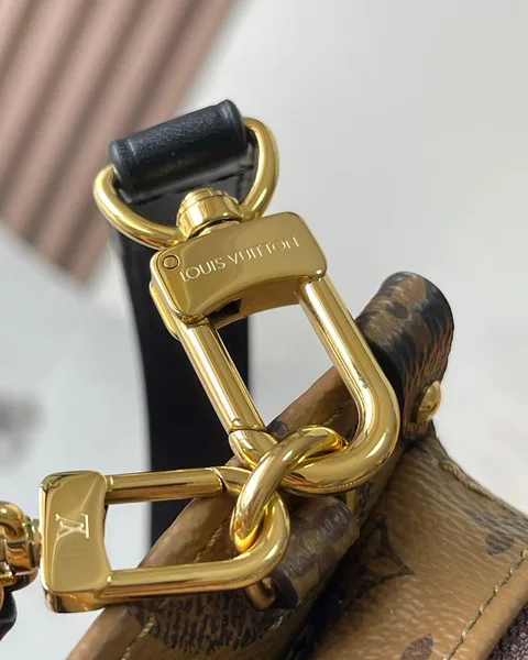 Louis Vuitton OnTheGo East West Brown Bag product view 6