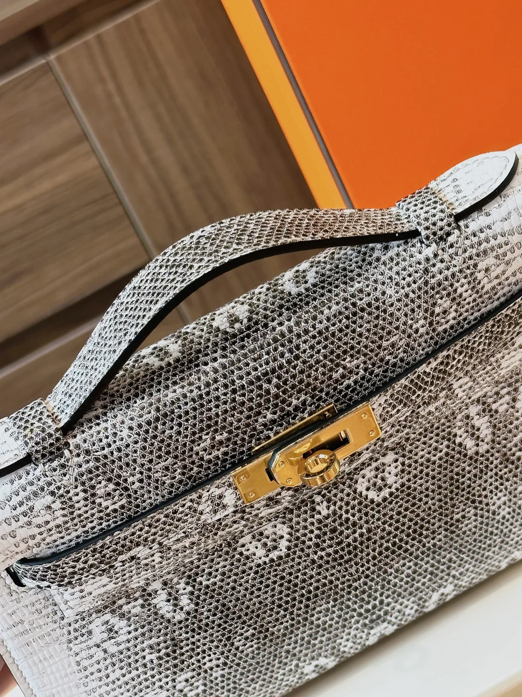Hermès Constance Omber Lizard leather Gold Hardware Bag product view 4