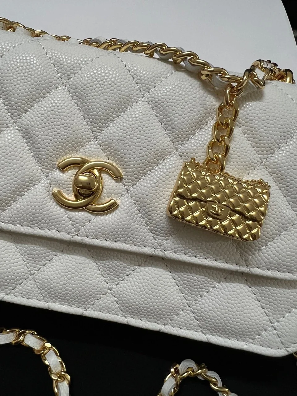 Chanel Woc Charm Handbags White Lizard Skin With Lock Pattern Bag 20 cm product view 5