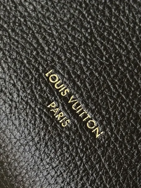 Louis Vuitton Express Bag product view 5