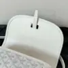 Goyard White Handbag Crossbody Women’s 22x16x7cm product view 6