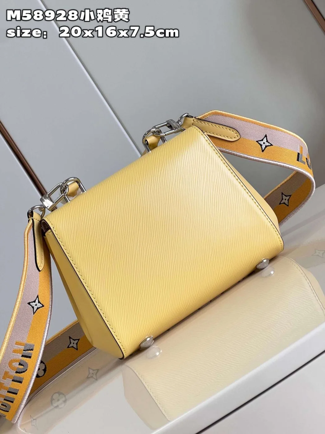 Louis Vuitton Clunny Yellow Raised Pattern 20x16cm Bag product view 3