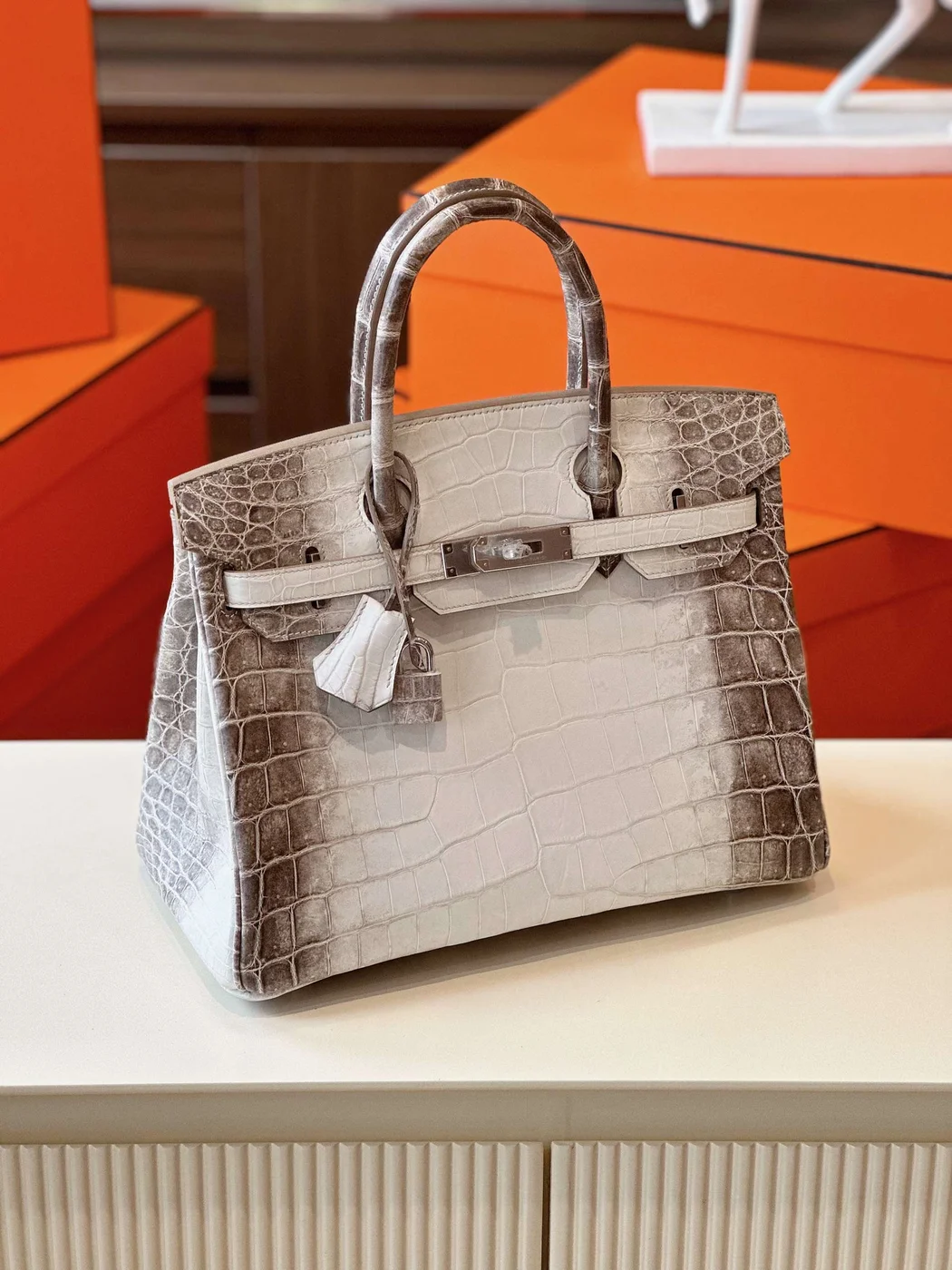 Hermès Birkin 30 Himalaya Albino Crocodile Leather Bag product view 6