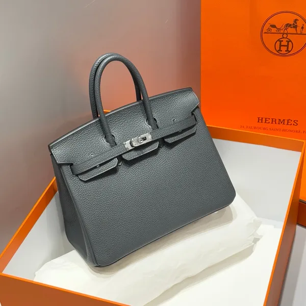 Hermès Birkin 25 In Charcoal Gray Silver Hardware Bag product view 1