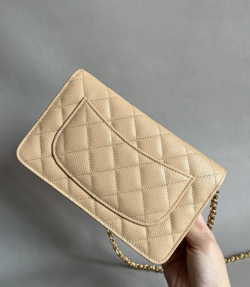 Chanel Woc Bag product view 2