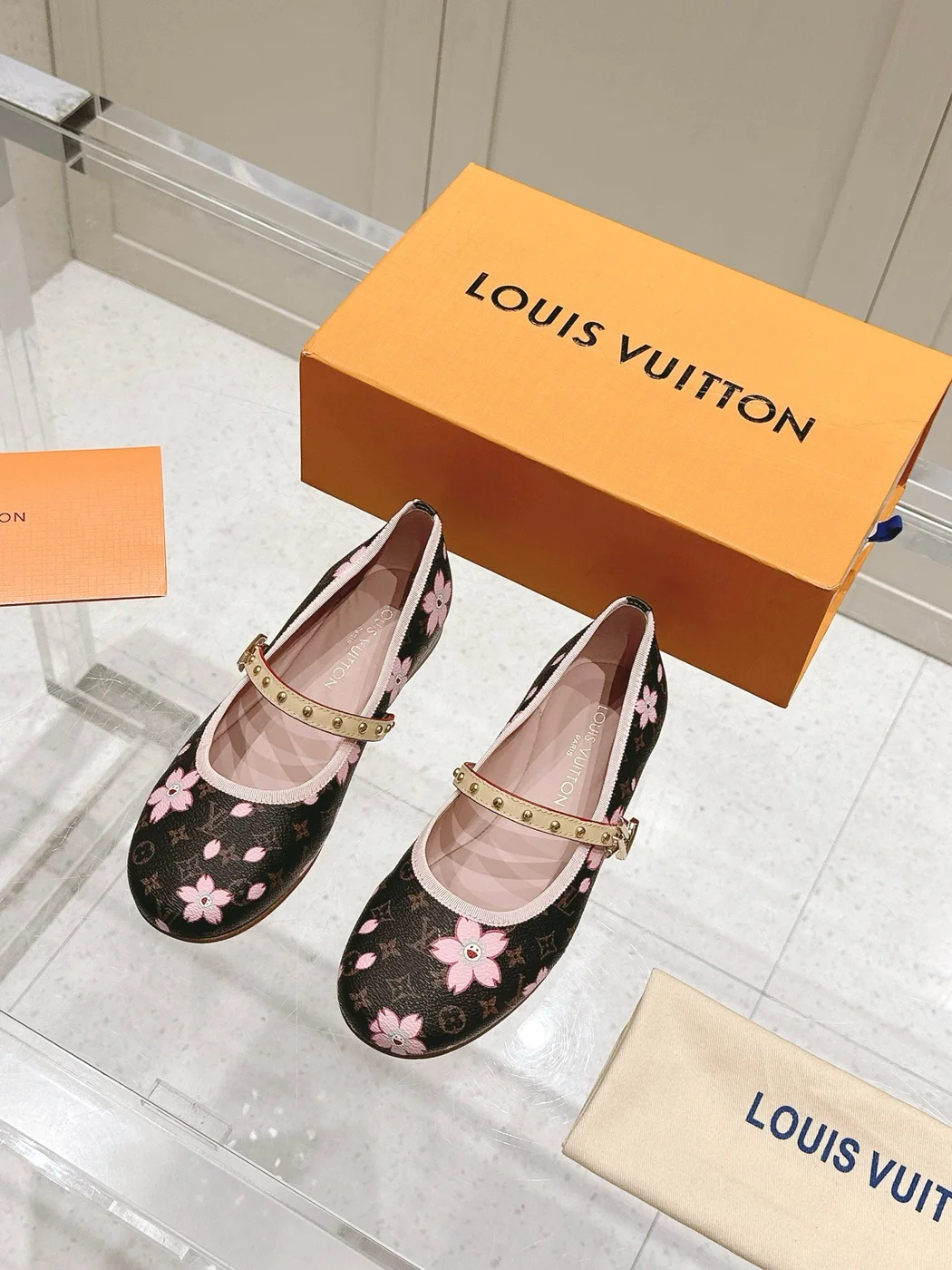 Louis Vuitton Women Brown Canvas Pink Floral Patterned Flats product view 3
