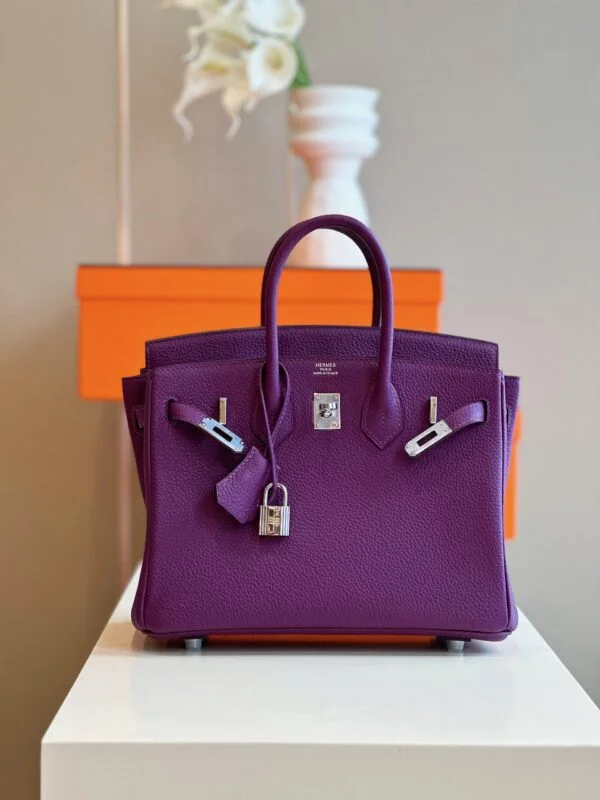 Hermès Birkin 25 Dark Purple Togo Leather Palladium Hardware Bag product view 2