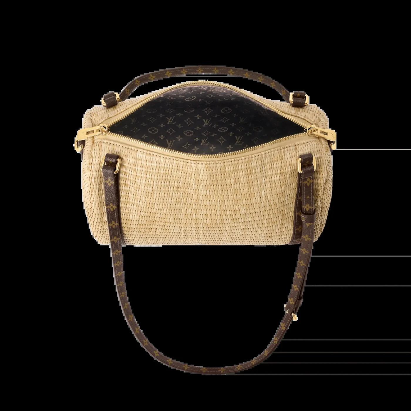 Louis Vuitton Express PM Bag product view 5