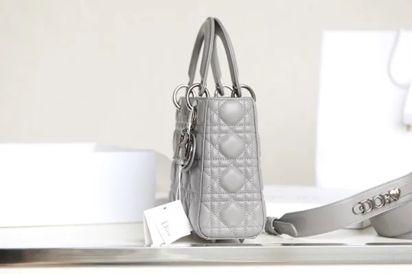 Dior My Lady High- Women’s Handbag Gray Glossy Leather 20x16cm product view 3