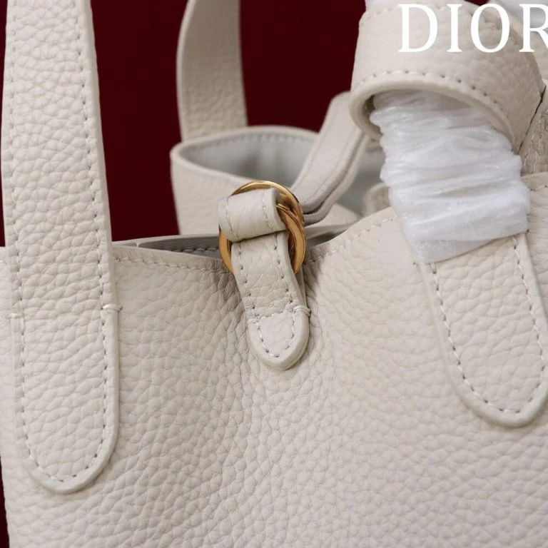 Dior Medium Signature Bucket Bag product view 5