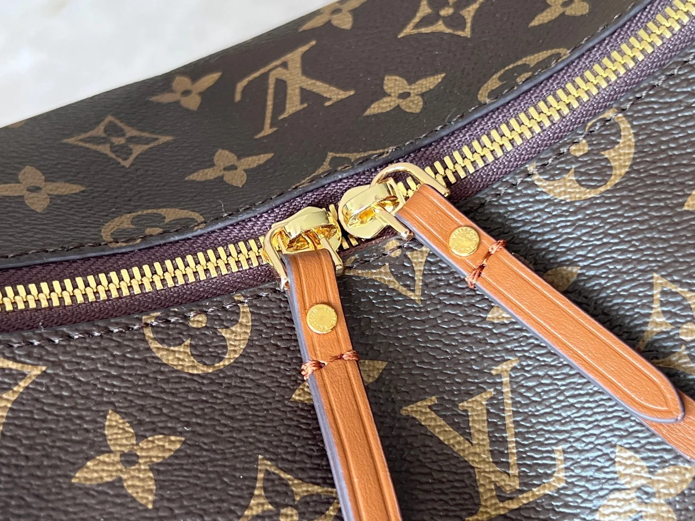 Louis Vuitton 25S Loop Hobo 38 In Brown Monogram Coated Canvas Gold Hardware Bag product view 7