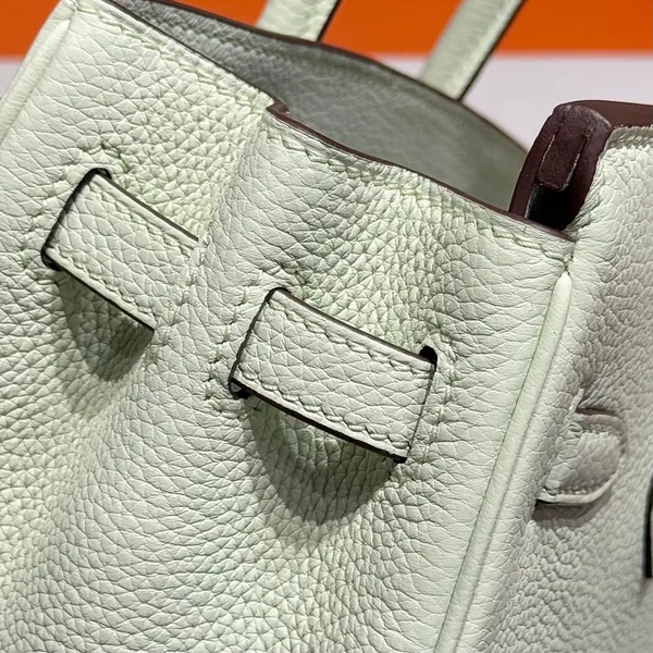 Hermès Birkin 25 In Light Mint Green Silver Hardware Bag product view 7