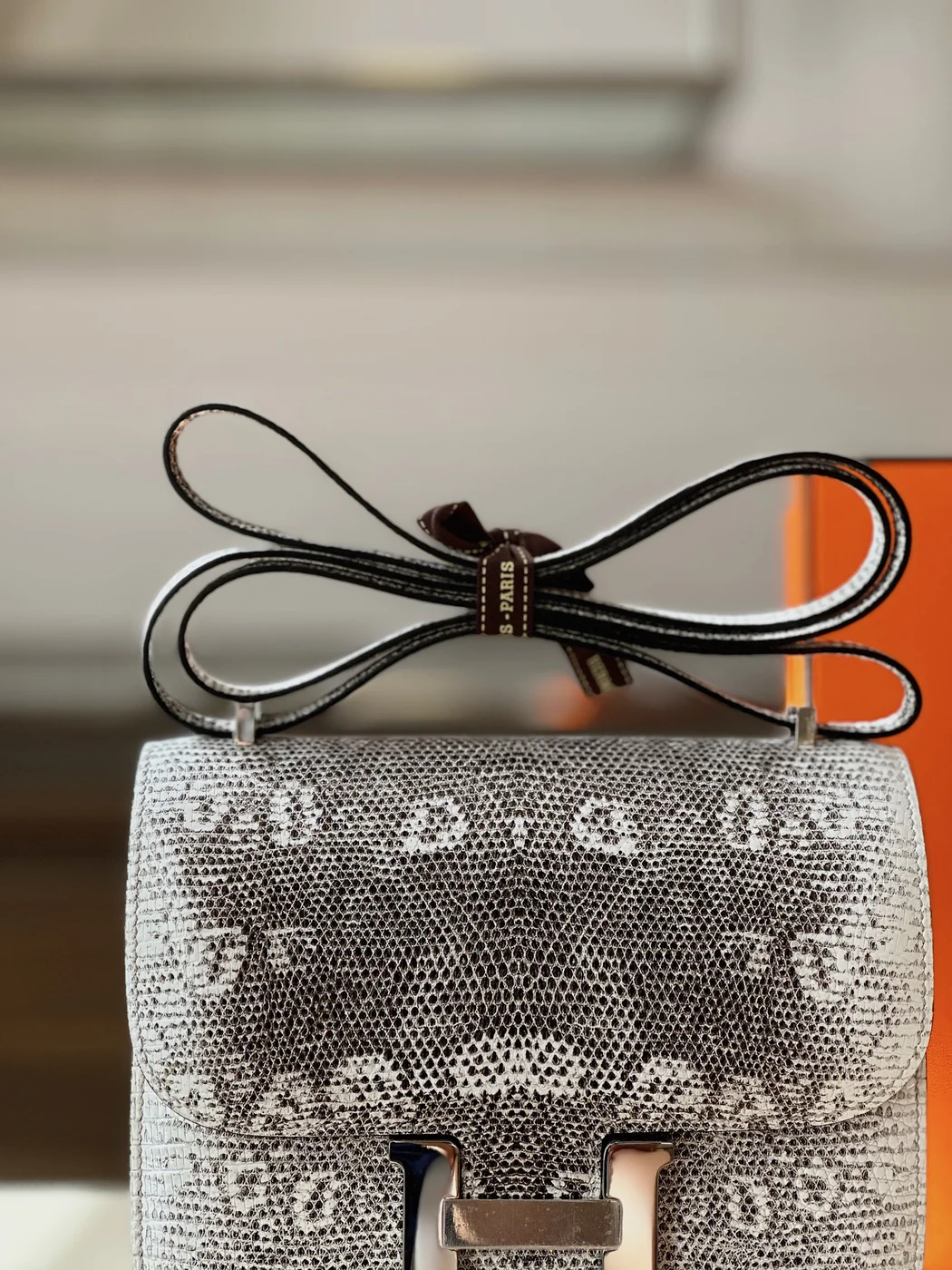 Hermès Constance 19 Omber Lizard Leather Bag product view 5