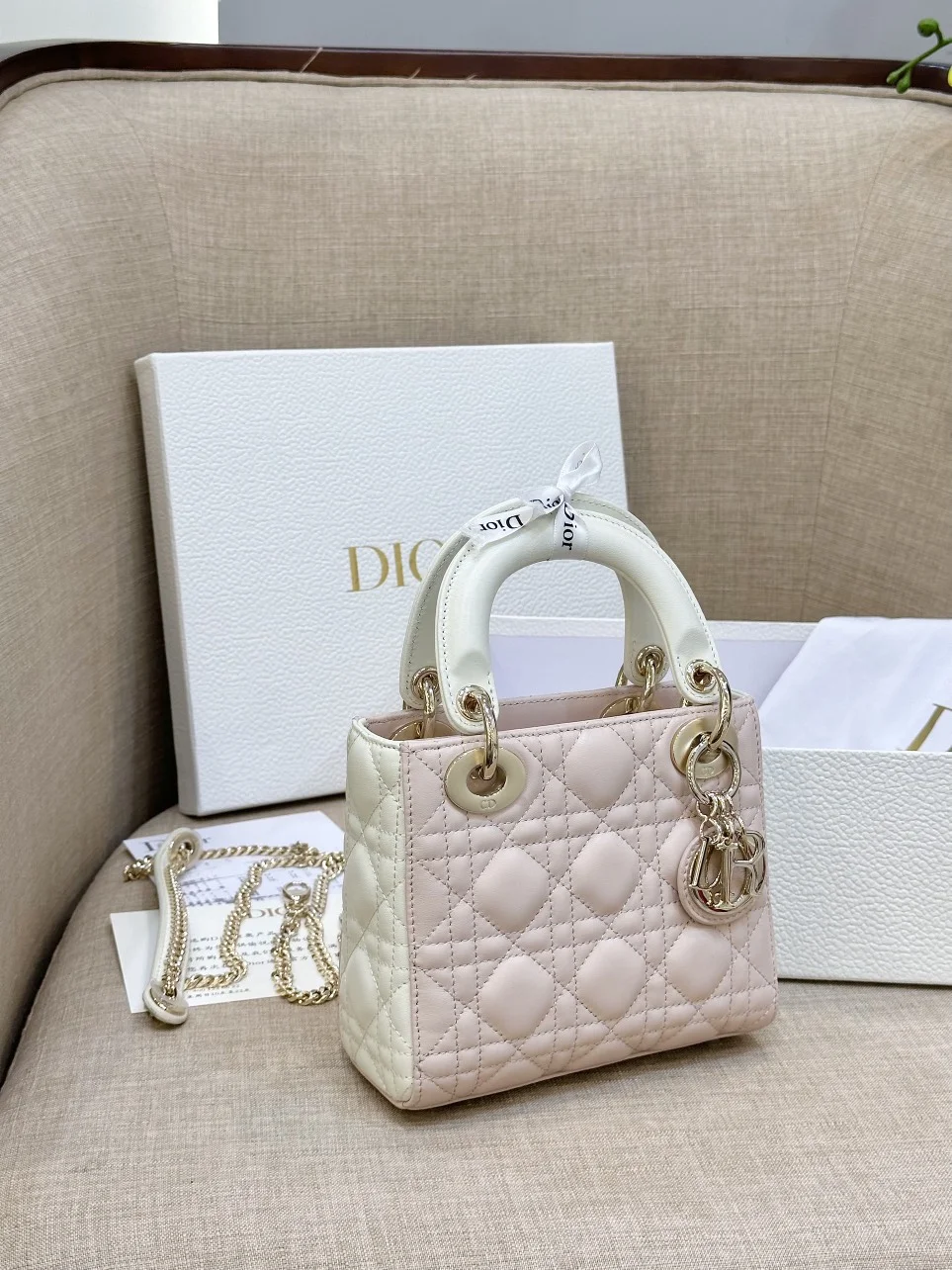 Dior Lady Mini Handbag for Women Pink Cowhide 18 cm product view 5