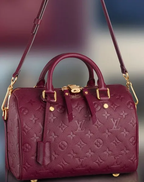 Louis Vuitton Speedy Burgundy Bag product view 1