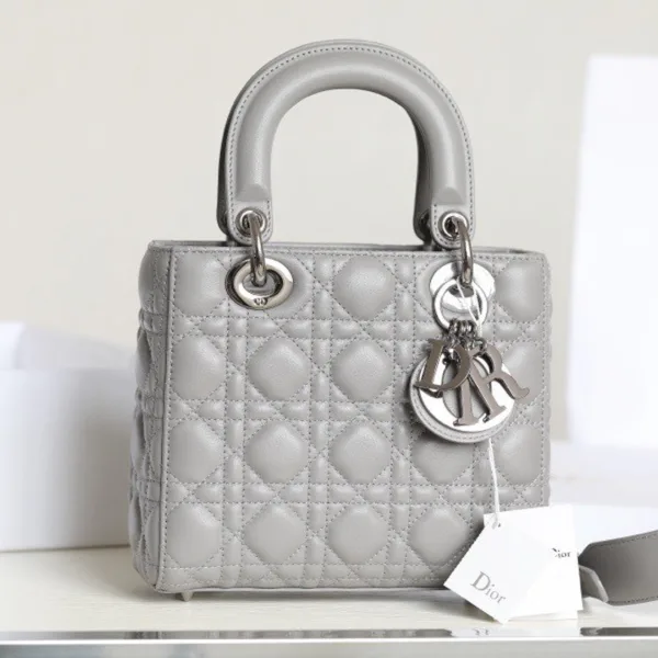 Dior My Lady High- Women’s Handbag Gray Glossy Leather 20x16cm product view 1