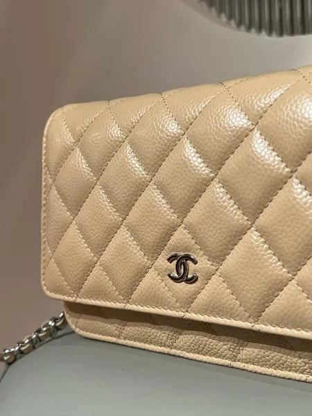 ChanelCaviar Quilted Wallet on Chain Woc Beige Bag product view 6