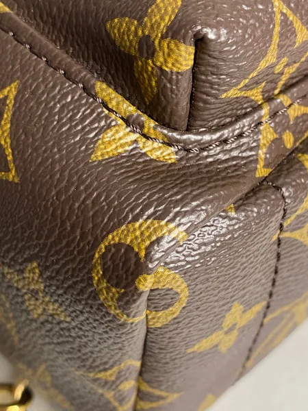 Louis Vuitton Palm Springs Mini backpack in monogram canvas product view 6
