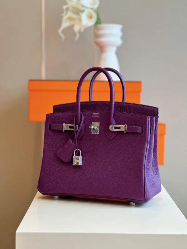 Hermès Birkin 25 Dark Purple Togo Leather Palladium Hardware Bag product view 3